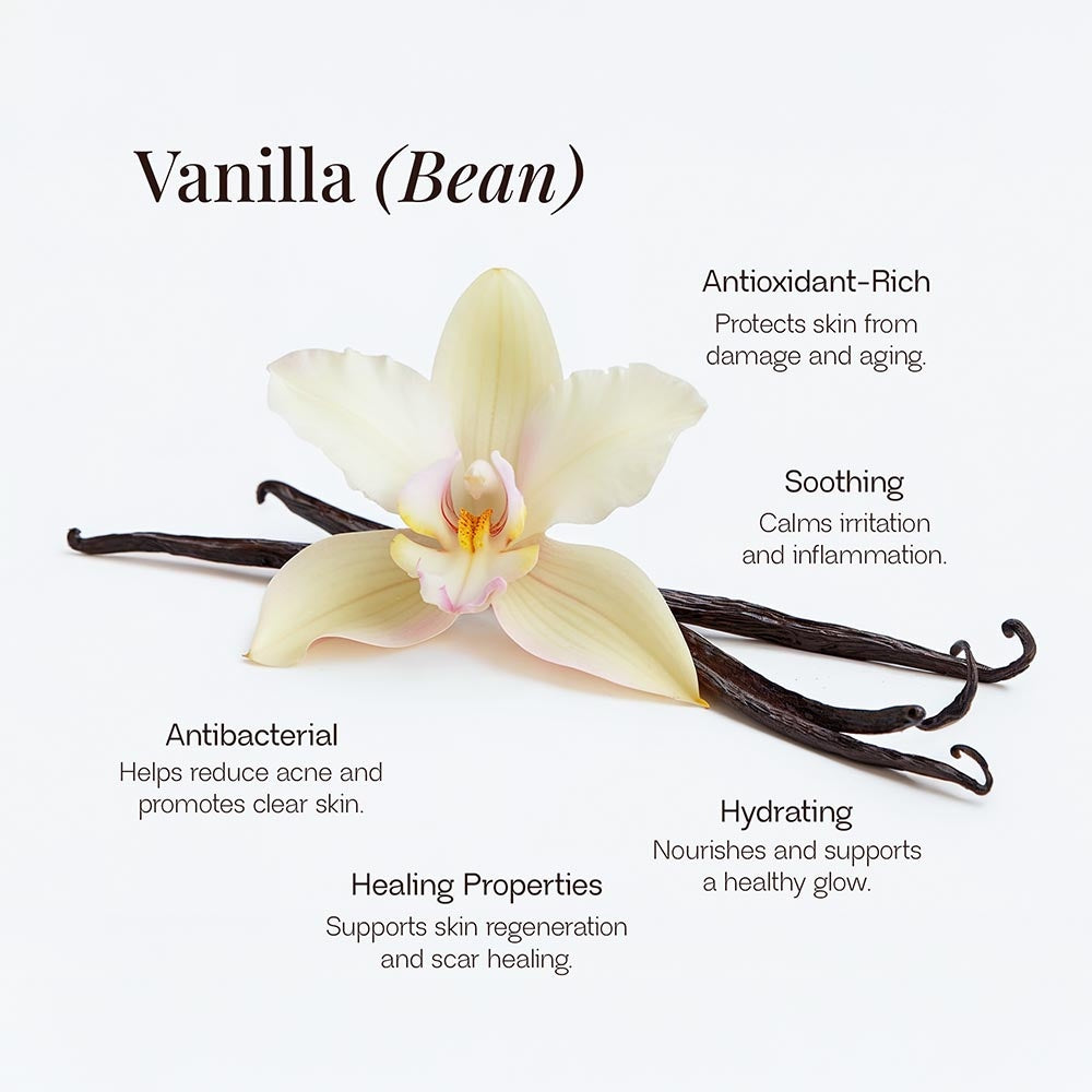 LOÂME Whipped Grass-Fed Tallow Balm with Vanilla Bean