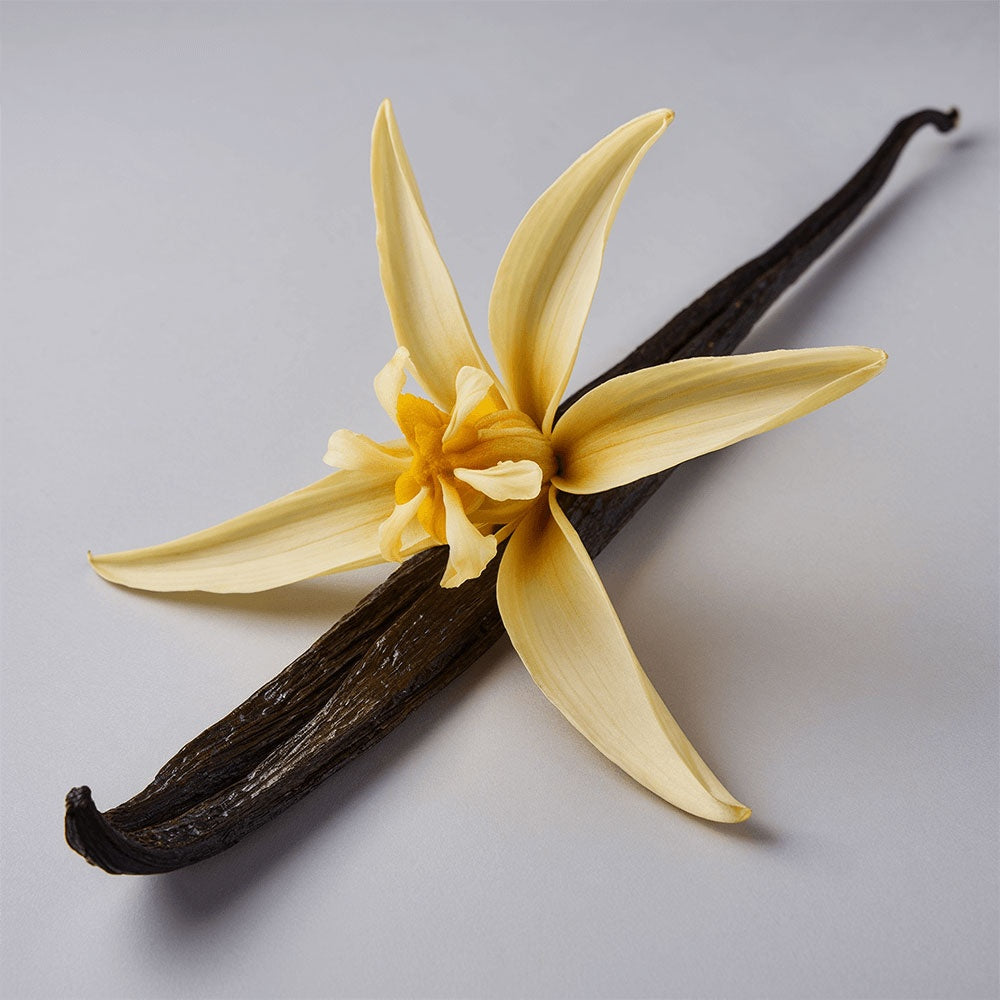 LOÂME Whipped Grass-Fed Tallow Balm with Vanilla Bean