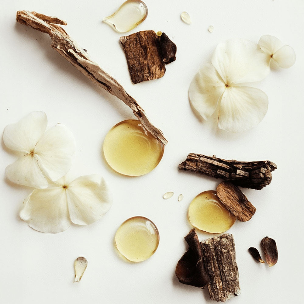 LOÂME Whipped Grass-Fed Tallow Balm with Vanilla Bean
