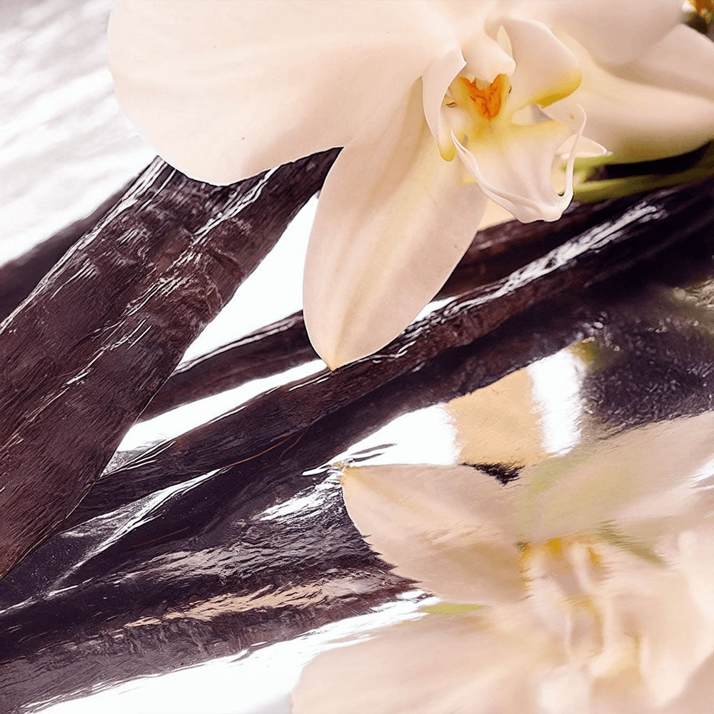 LOÂME Whipped Grass-Fed Tallow Balm with Vanilla Bean